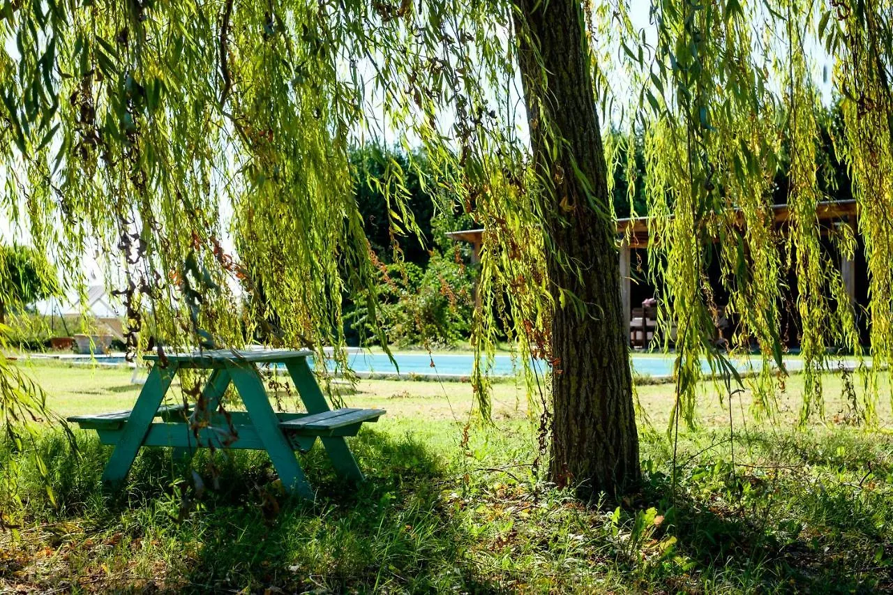 The Green Home Ραβένα