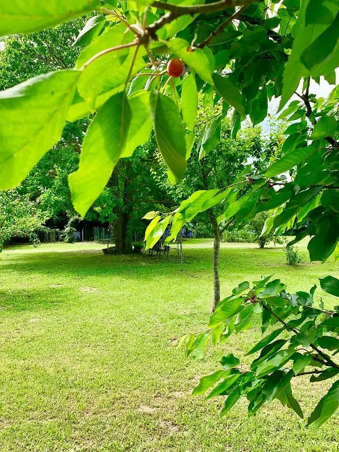 Διαμέρισμα The Green Home Ραβένα Ιταλία